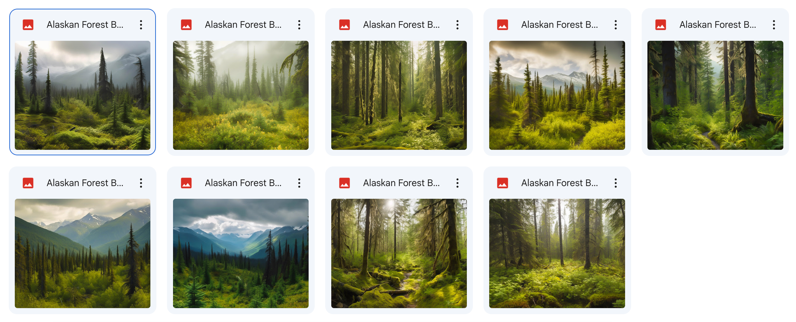 The Big Forest Bundle - Meg Bitton Productions