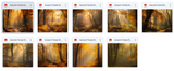 The Big Forest Bundle - Meg Bitton Productions