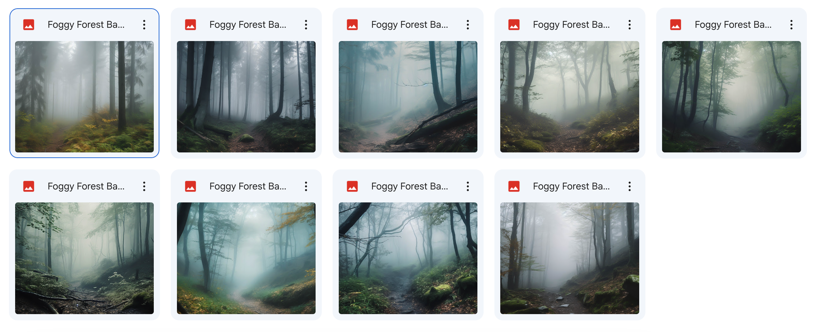 The Big Forest Bundle - Meg Bitton Productions