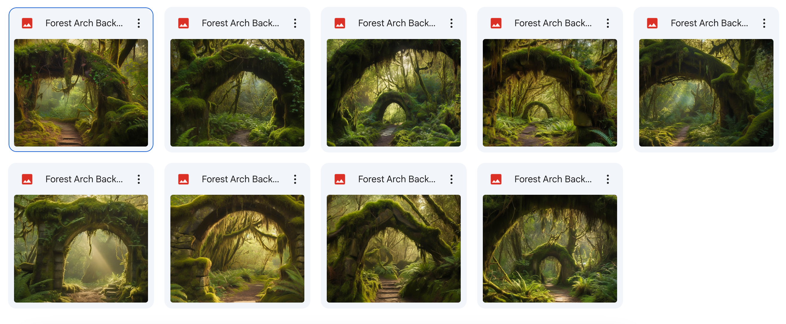The Big Forest Bundle - Meg Bitton Productions