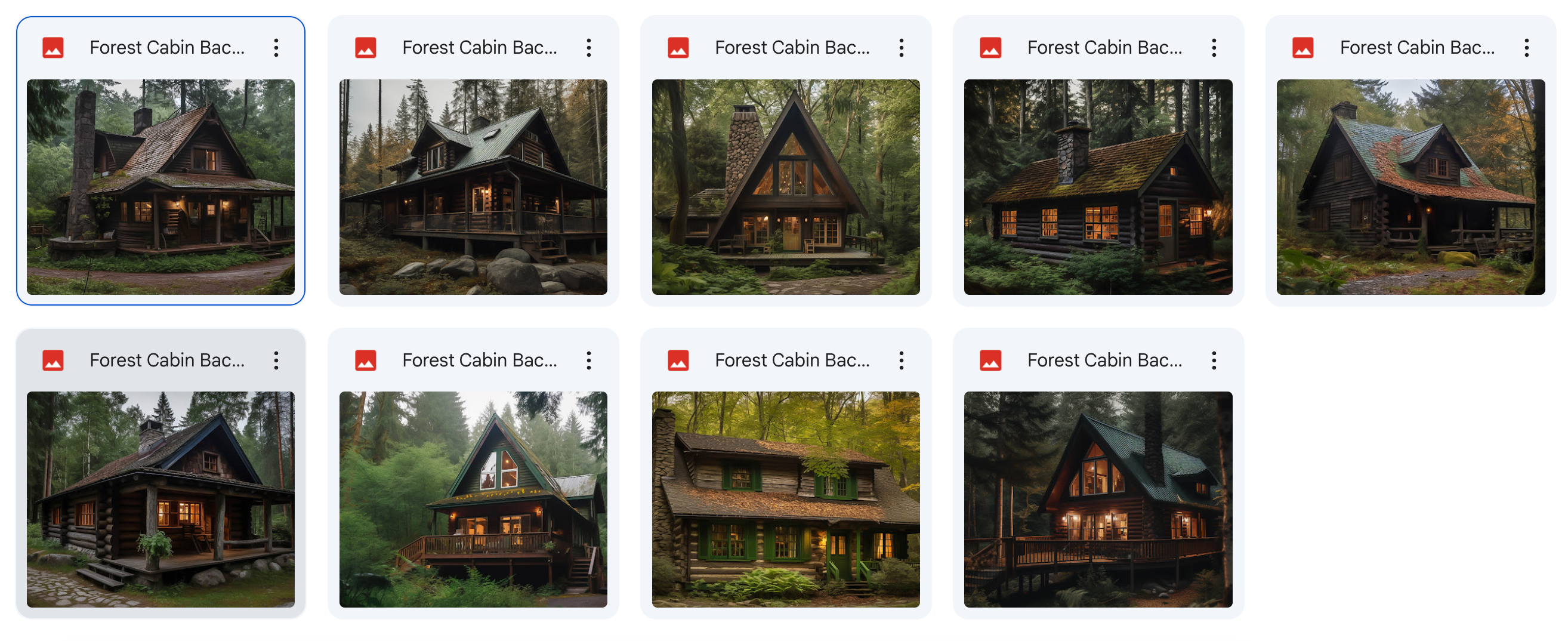The Big Forest Bundle - Meg Bitton Productions