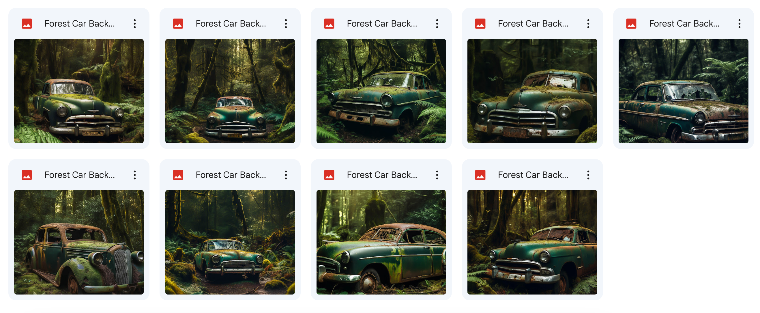The Big Forest Bundle - Meg Bitton Productions
