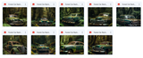 The Big Forest Bundle - Meg Bitton Productions
