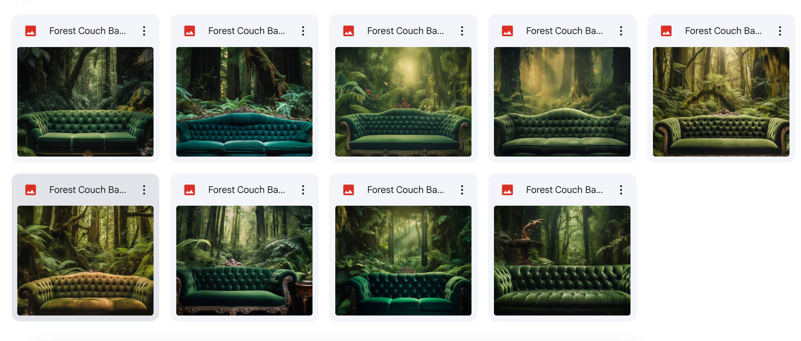 The Big Forest Bundle - Meg Bitton Productions