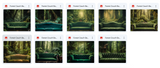 The Big Forest Bundle - Meg Bitton Productions