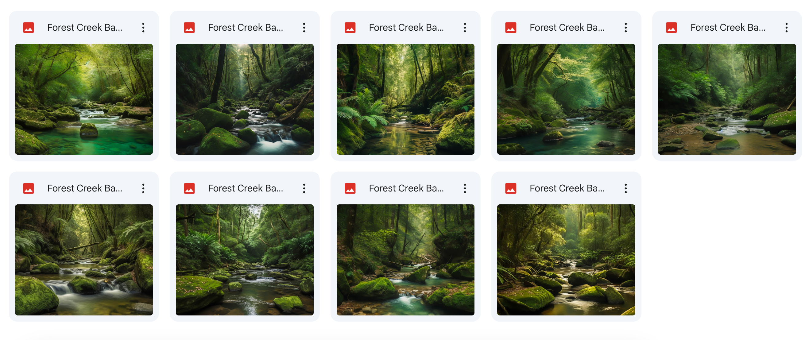 The Big Forest Bundle - Meg Bitton Productions