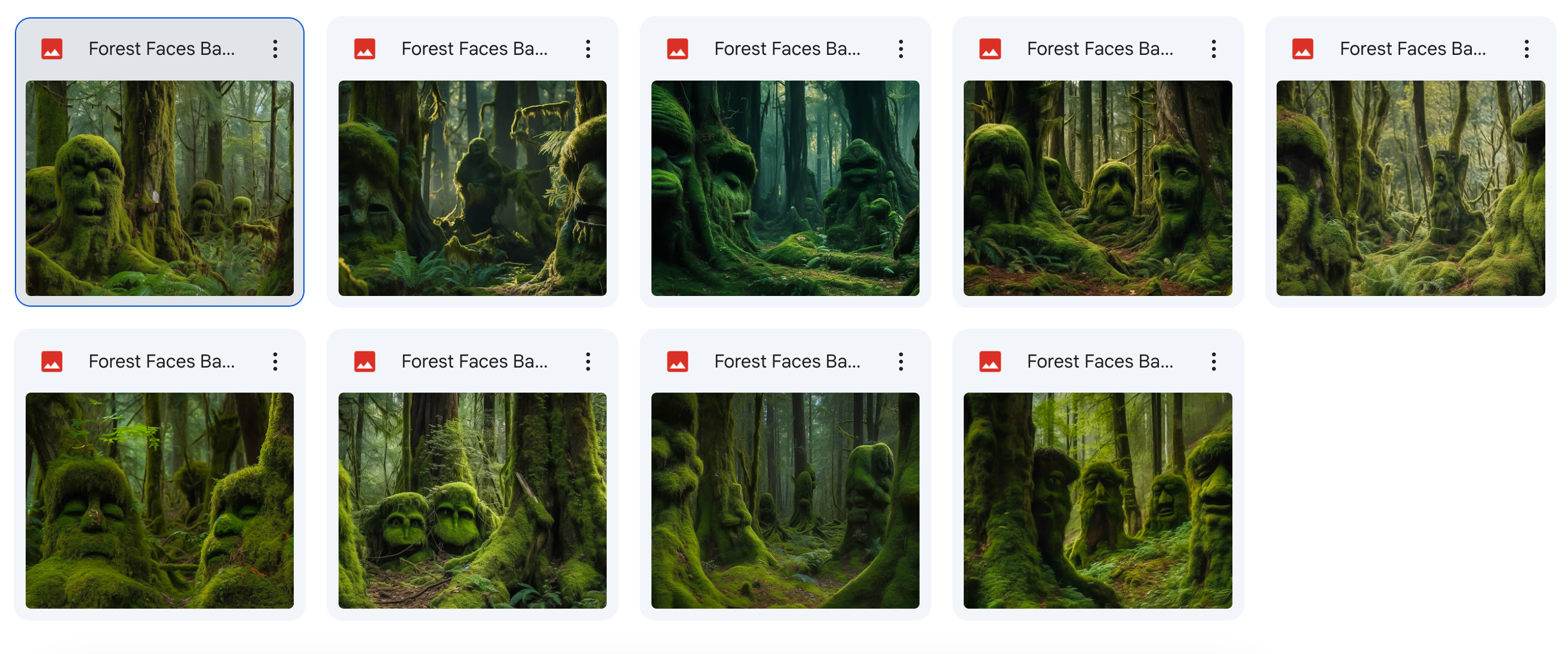 The Big Forest Bundle - Meg Bitton Productions
