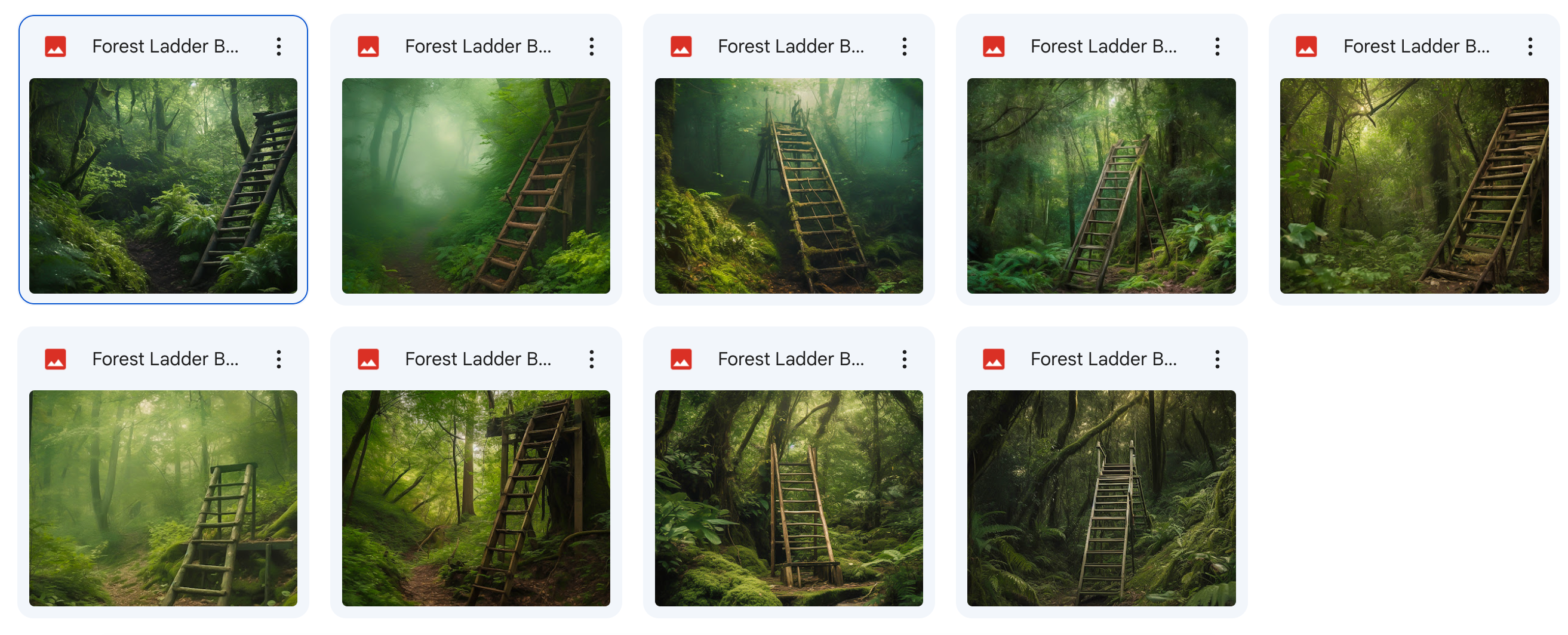 The Big Forest Bundle - Meg Bitton Productions