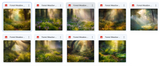 The Big Forest Bundle - Meg Bitton Productions
