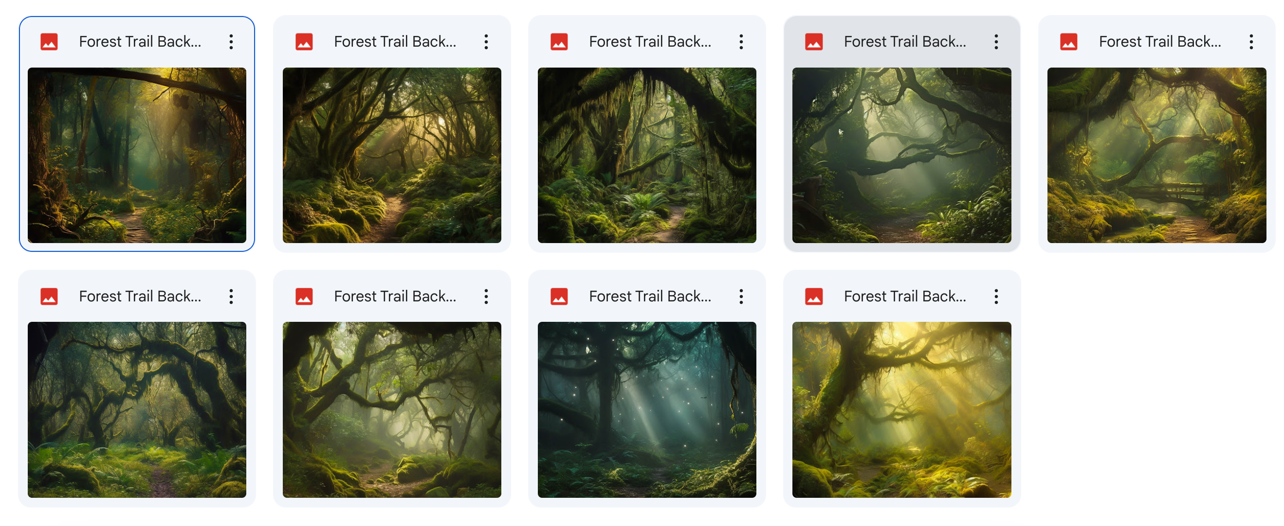 The Big Forest Bundle - Meg Bitton Productions