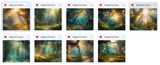 The Big Forest Bundle - Meg Bitton Productions