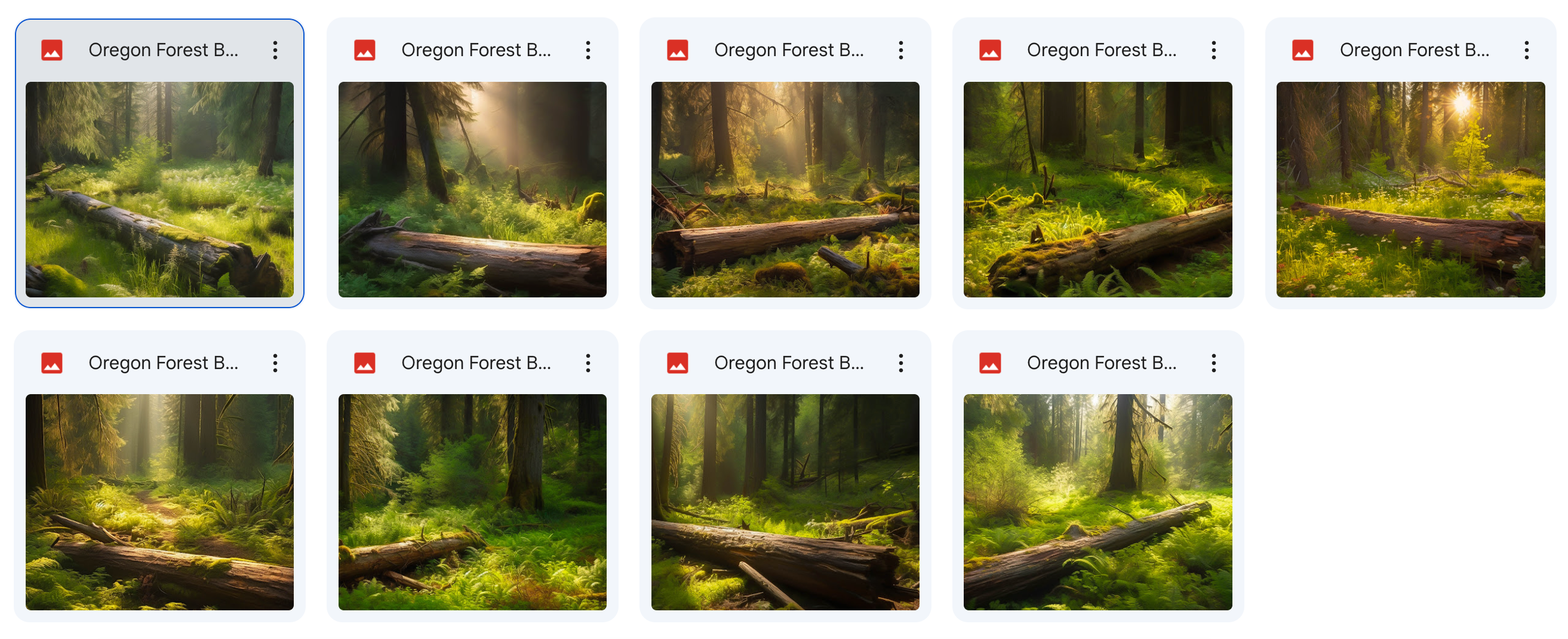 The Big Forest Bundle - Meg Bitton Productions