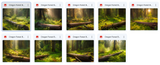 The Big Forest Bundle - Meg Bitton Productions