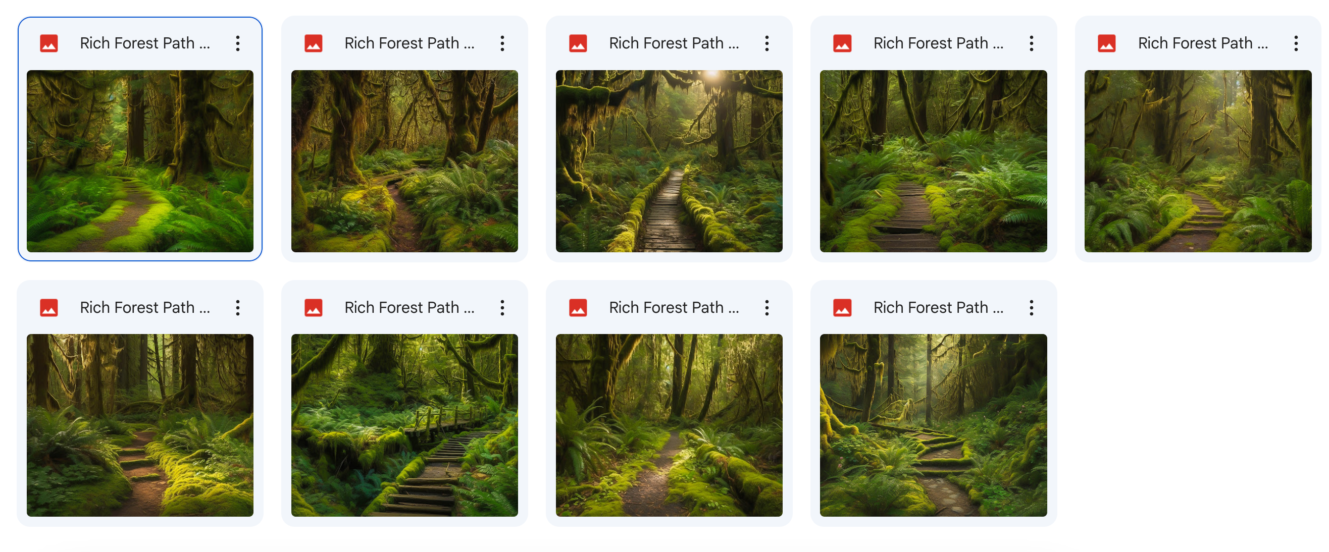 The Big Forest Bundle - Meg Bitton Productions