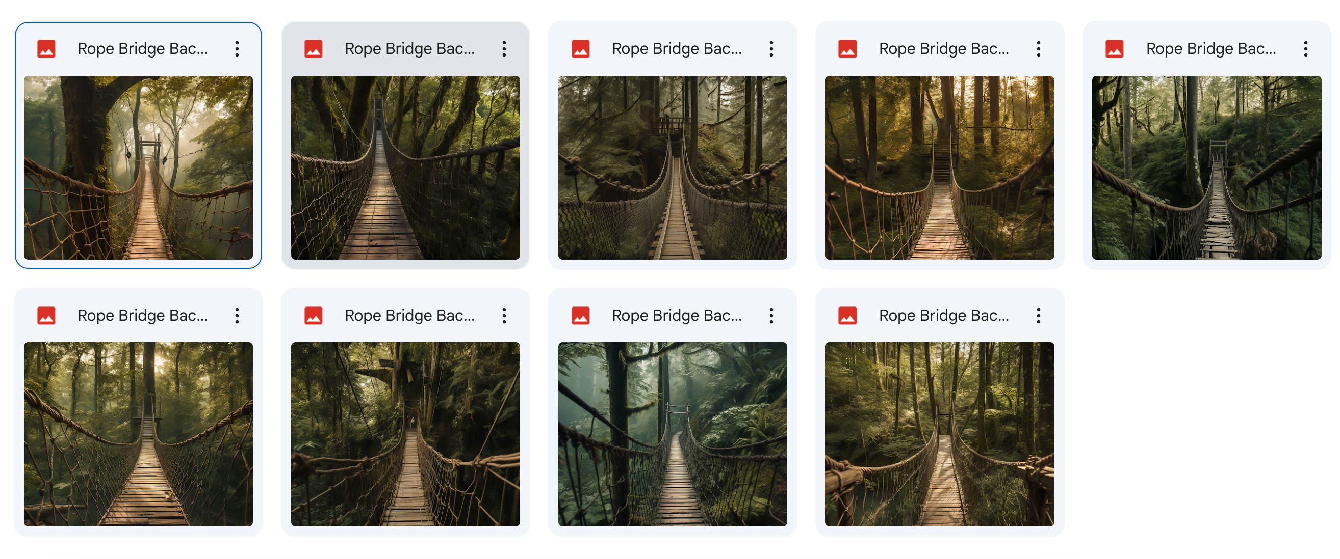 The Big Forest Bundle - Meg Bitton Productions
