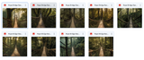 The Big Forest Bundle - Meg Bitton Productions