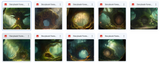 The Big Forest Bundle - Meg Bitton Productions