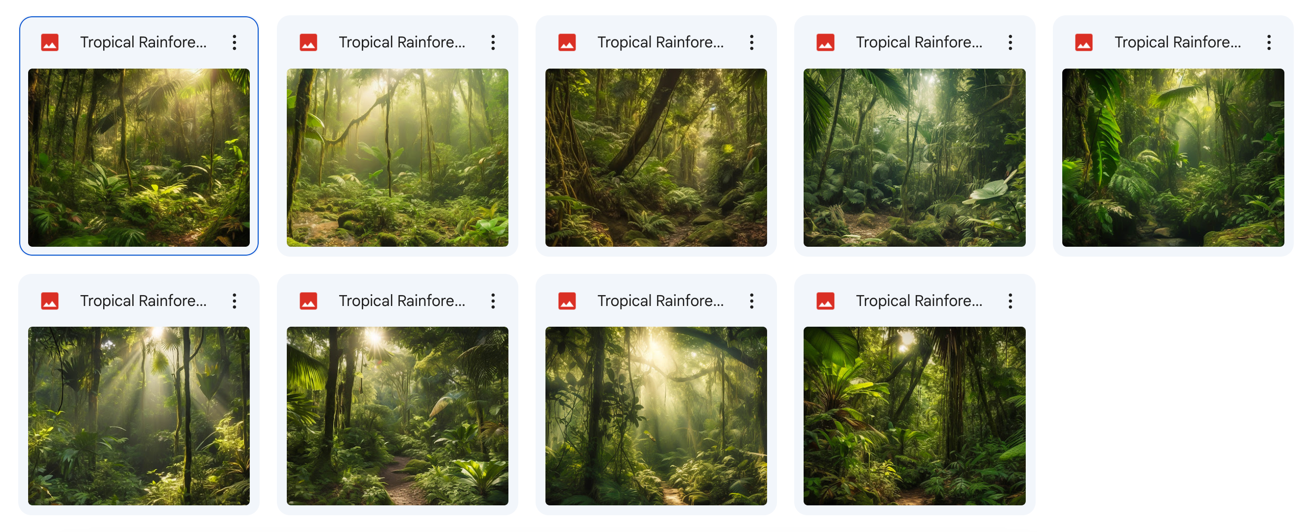 The Big Forest Bundle - Meg Bitton Productions