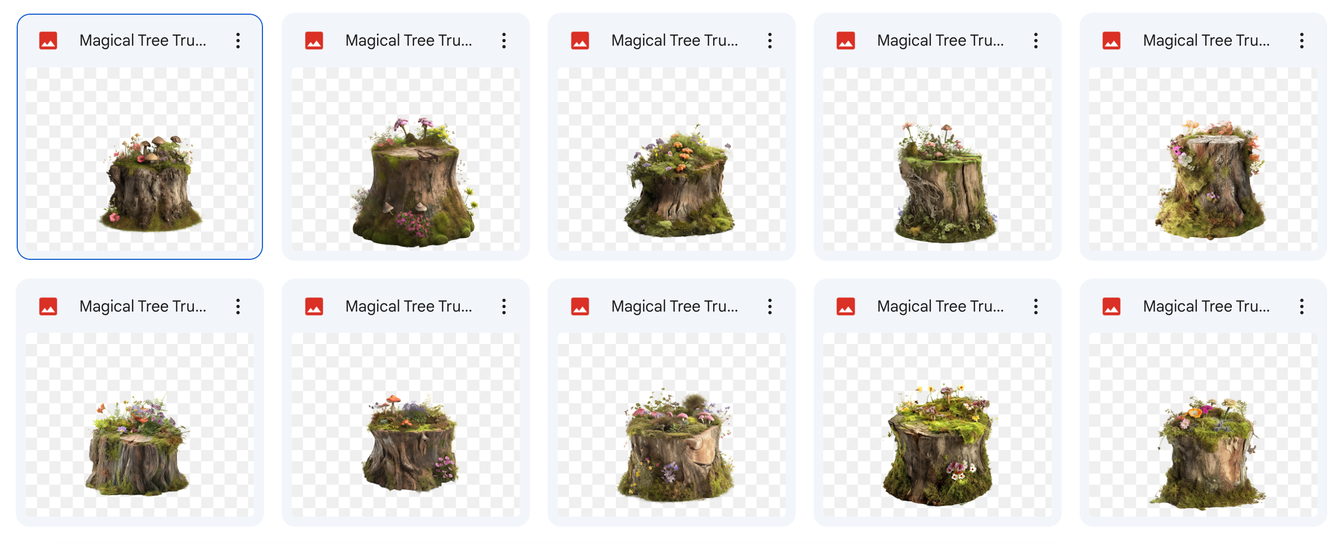 The Big Forest Bundle - Meg Bitton Productions