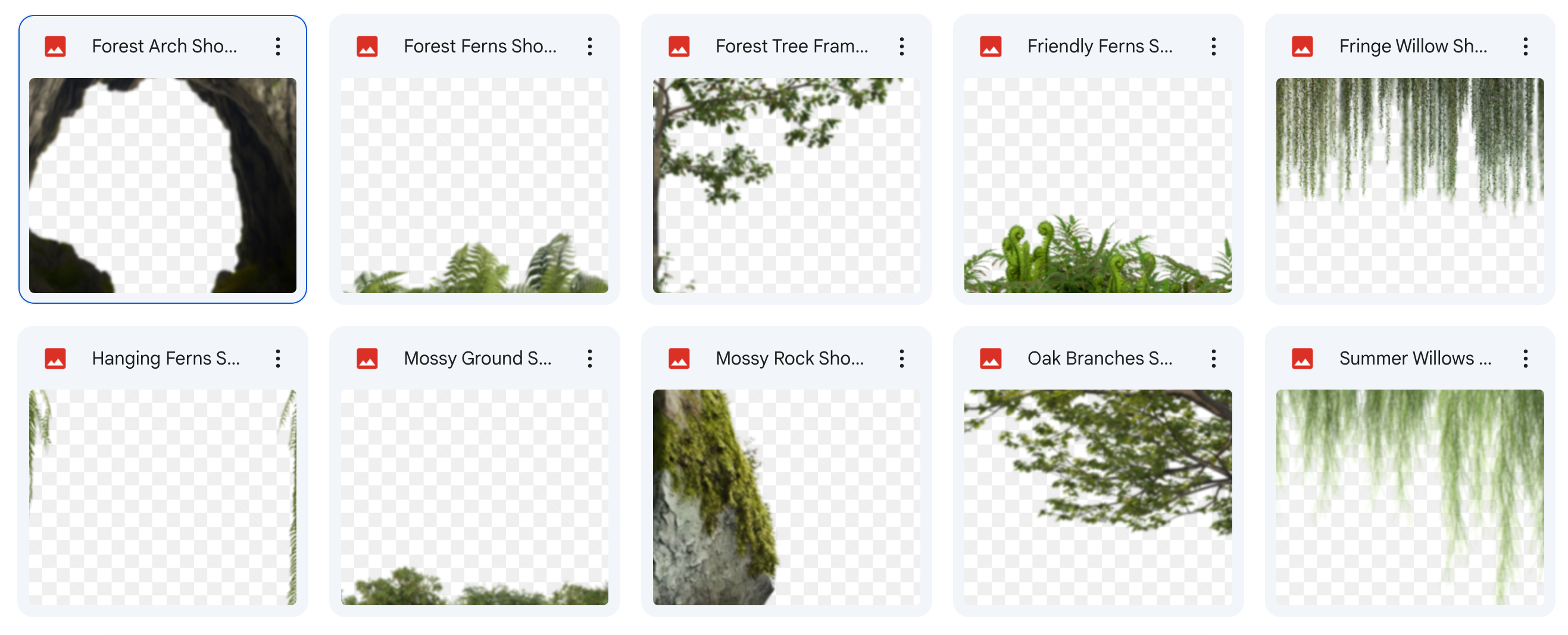 The Big Forest Bundle - Meg Bitton Productions