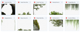 The Big Forest Bundle - Meg Bitton Productions