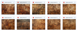 The Big Forest Bundle - Meg Bitton Productions