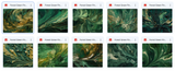 The Big Forest Bundle - Meg Bitton Productions