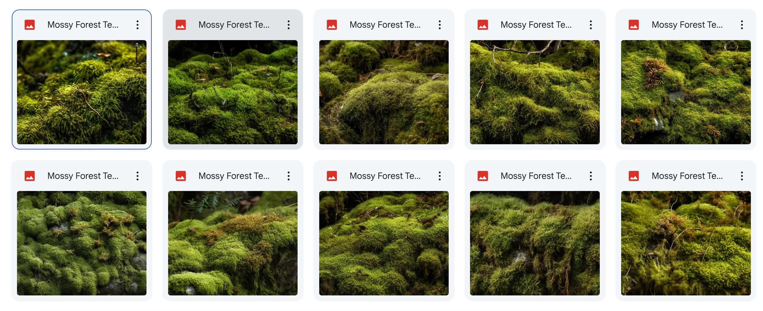 The Big Forest Bundle - Meg Bitton Productions