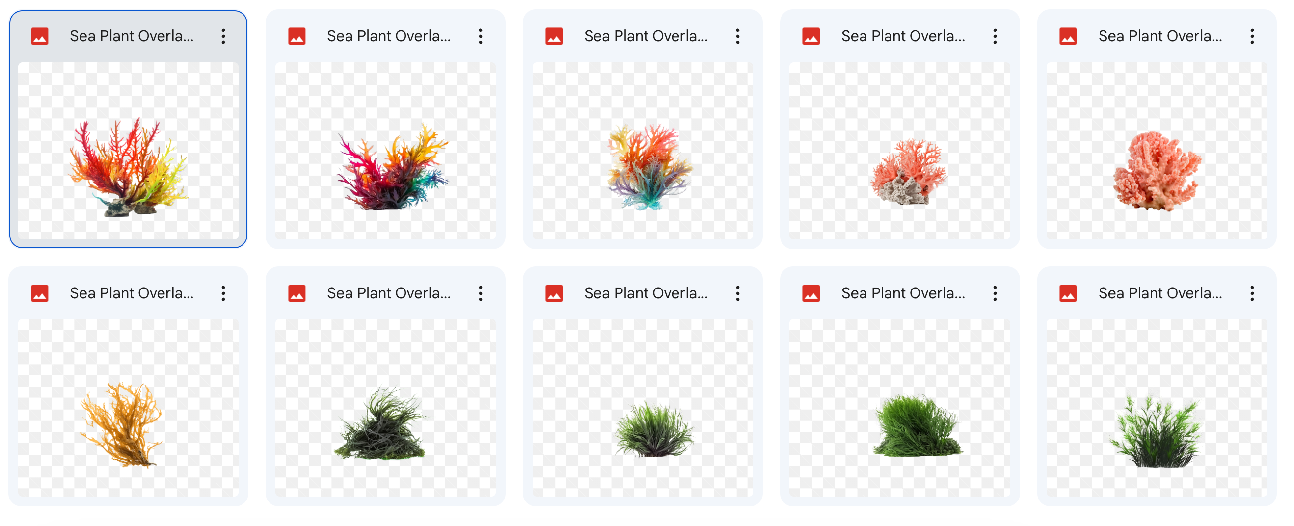 Magical Digital Overlays: Underwater Plants - Meg Bitton Productions