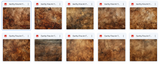 Magical Earthy Fine Art Textures - Meg Bitton Productions