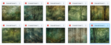Magical Emerald Forest Textures - Meg Bitton Productions