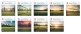 The Sports SUPER Bundle - Meg Bitton Productions