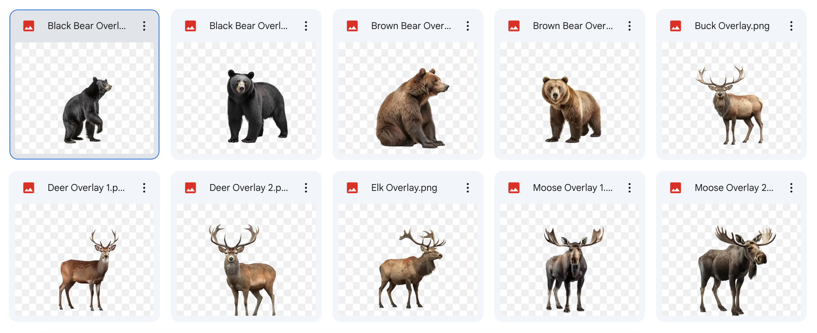 Magical Digital Overlays: Large Forest Animals - Meg Bitton Productions