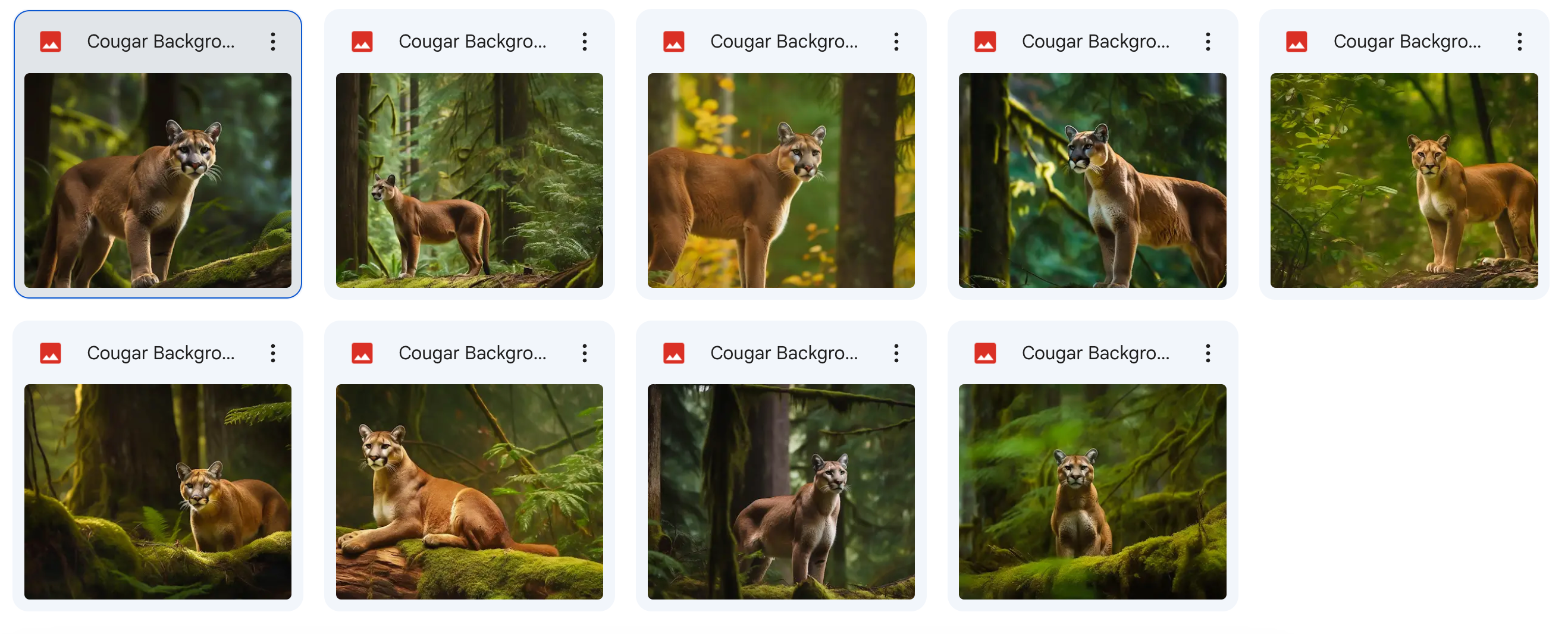 The Woodland Creatures Bundle - Meg Bitton Productions