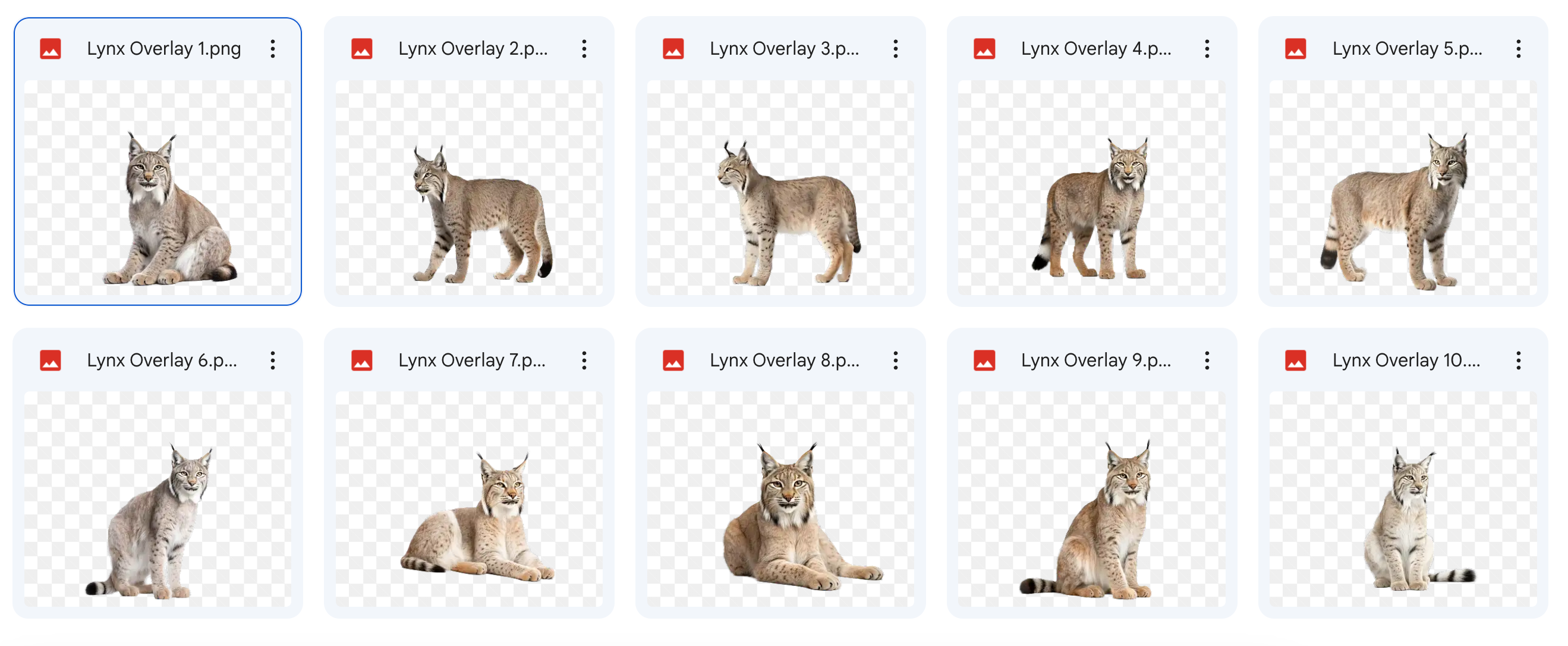 The Woodland Creatures Bundle - Meg Bitton Productions