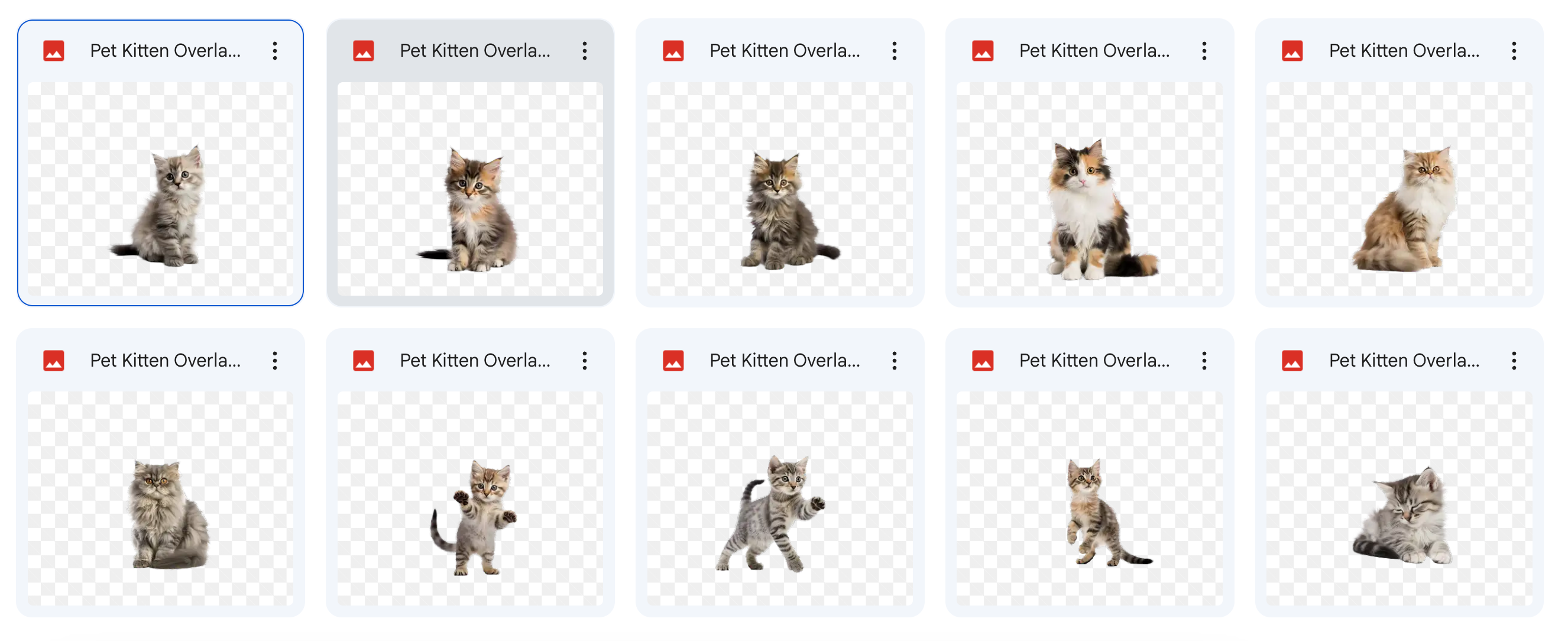 The Ultimate Pet Lover's Bundle - Meg Bitton Productions