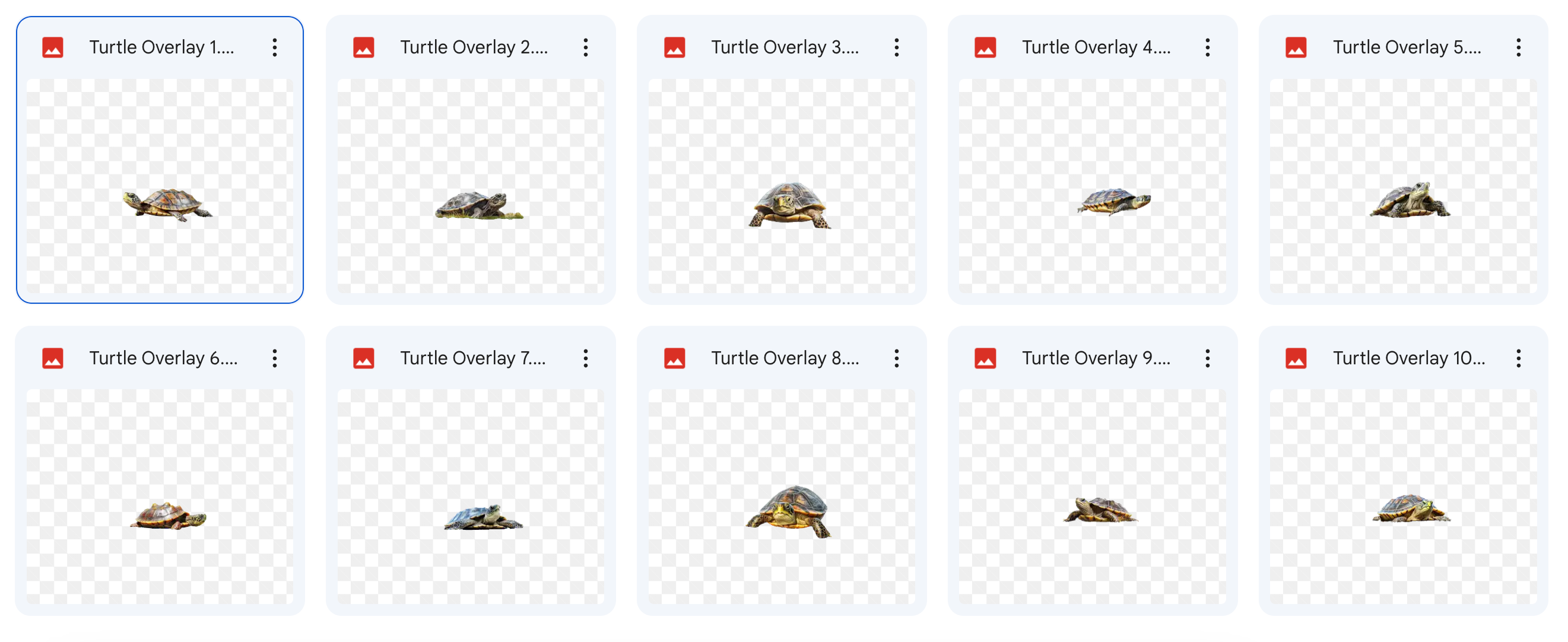 Magical Digital Overlays: Turtles - Meg Bitton Productions