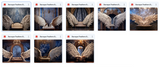 The Fantastic Feather Bundle - Meg Bitton Productions