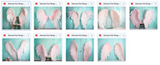 The Fantastic Feather Bundle - Meg Bitton Productions