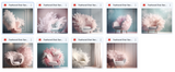 The Fantastic Feather Bundle - Meg Bitton Productions