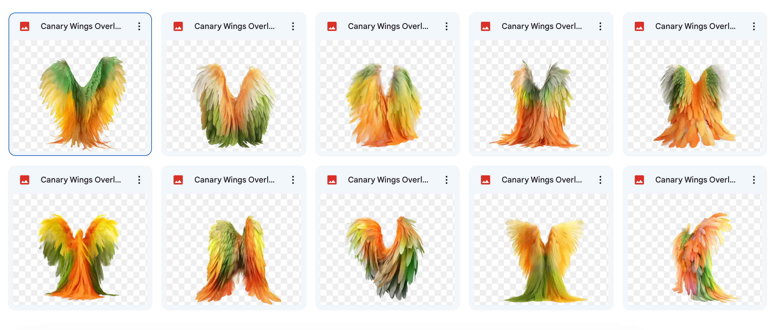 The Fantastic Feather Bundle - Meg Bitton Productions