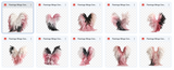 The Fantastic Feather Bundle - Meg Bitton Productions