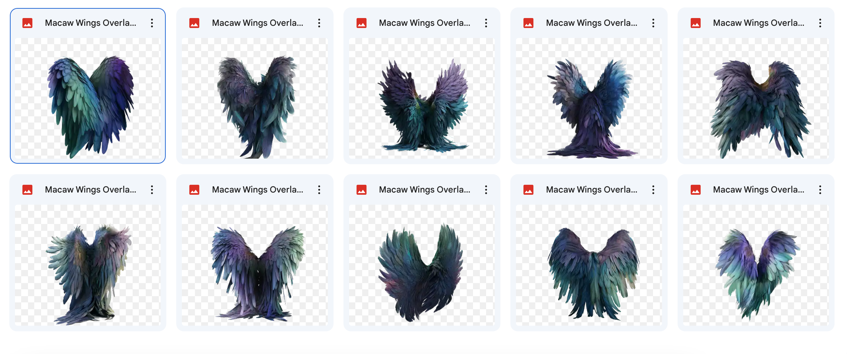The Fantastic Feather Bundle - Meg Bitton Productions