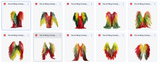 The Fantastic Feather Bundle - Meg Bitton Productions