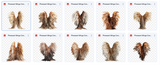 The Fantastic Feather Bundle - Meg Bitton Productions