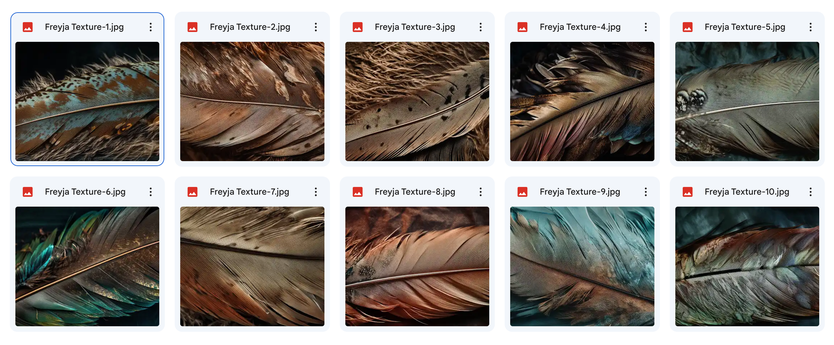 The Fantastic Feather Bundle - Meg Bitton Productions