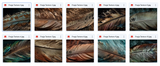The Fantastic Feather Bundle - Meg Bitton Productions