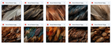 The Fantastic Feather Bundle - Meg Bitton Productions
