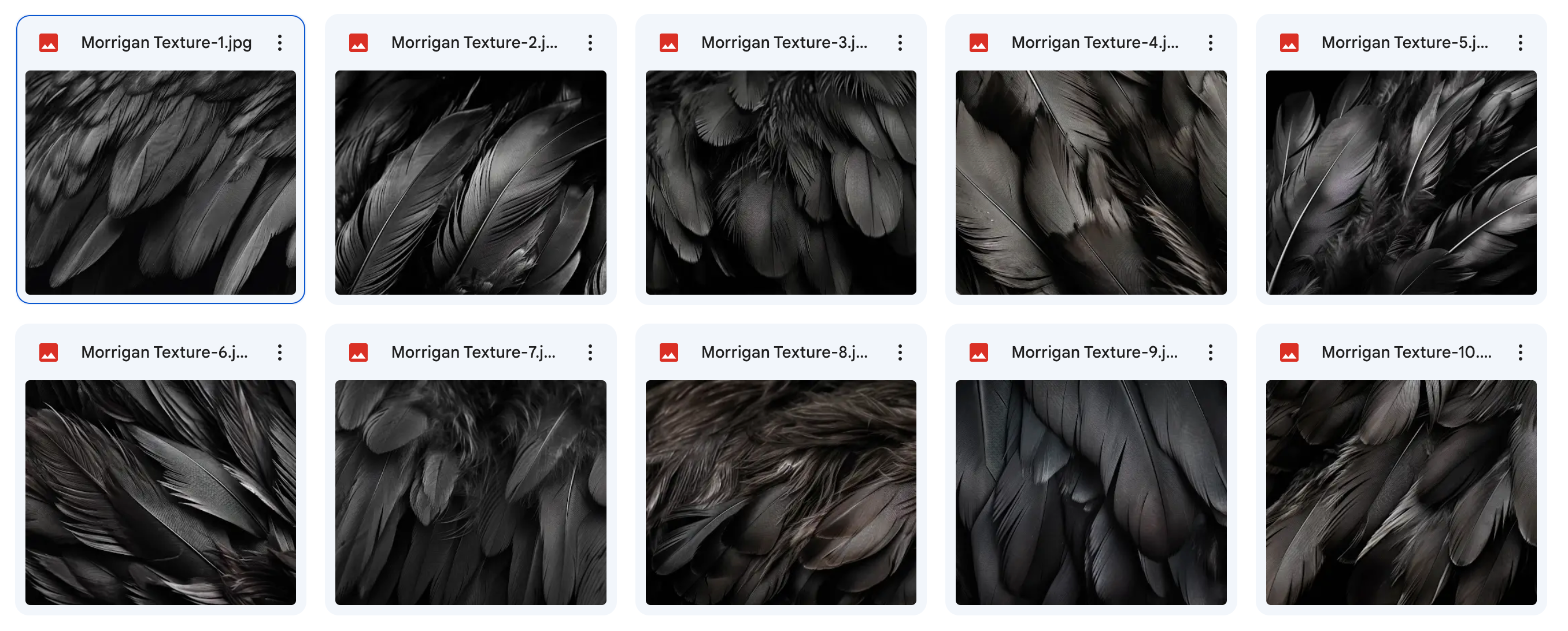 The Fantastic Feather Bundle - Meg Bitton Productions