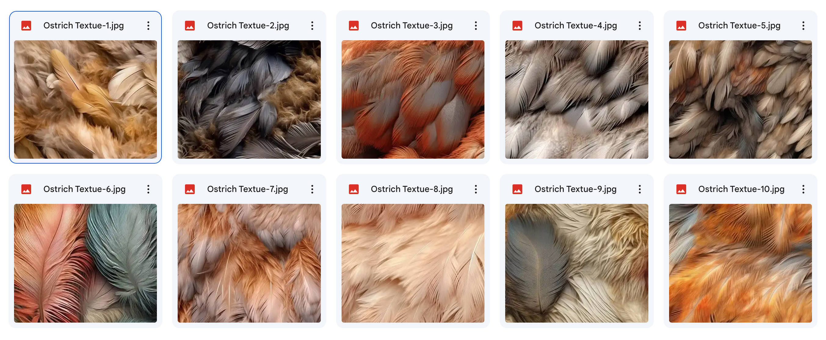 The Fantastic Feather Bundle - Meg Bitton Productions